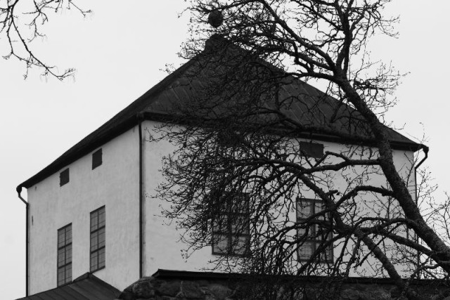 The upper part of a tower of a very old castle with a pyramidal roof seen a bit from the side. There are two small windows and two bigger one each of the two visible sides. There is a part of an old stone wall at the bottom, and a big tree without leaves in front of the building, and some branches from another one at the upper left corner. It is a black and white image, photographed on a gloomy day. 