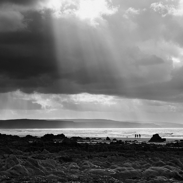 Square format black and white, with a foreground of tide-worn smooth rocks opening onto a sandy beach, where tiny figures of three people and a dog are walking along the edge of the sea which is relatively flat but having the wind blow the foam off low breaking waves. They are illuminated by shafts of sunlight breaking through the thinner and brighter parts of a stormy looking sky, darker clouds highlighting the shafts as they shine like a spotlight down from the top of the frame. The rolling hills of distant headlands and other spotlight shafts onto the land are visible behind the sea.