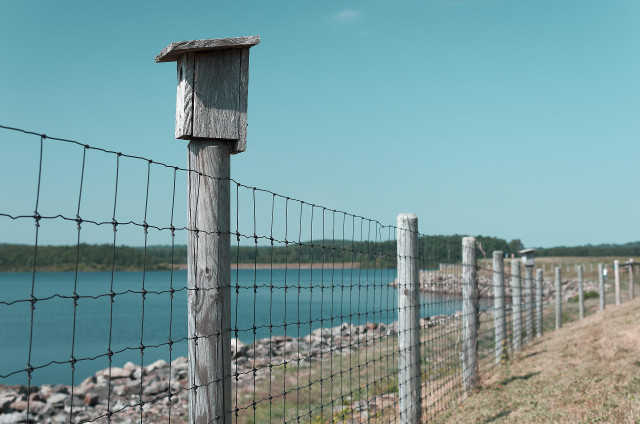 A wood and wire fence runs into the photo from camera left and into the distance camera right. On the right side of the fence is a mowed field. On the left side, the shore line of a lake, with a tree line on the horizon. The sky is blue and nearly cloudless. A wooden fence post with a bird house fixed to the top dominates the scene. August 2025.