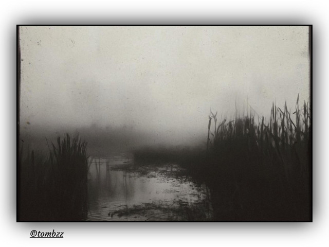 Black and white analog photograph shows a mist-covered landscape on the edge of a lake. A narrow strip of water cuts through the frame, reflecting blurred outlines of plants and sky. On both sides stand tall, wild grasses or reeds, shaping a sense of silence and isolation. The entire scene is enveloped in dense fog that swallows the background and makes the silhouettes of distant trees appear only as shadows, almost imagined. The mood of the image is melancholic and mysterious, as if time had stopped in this damp, forgotten corner.
