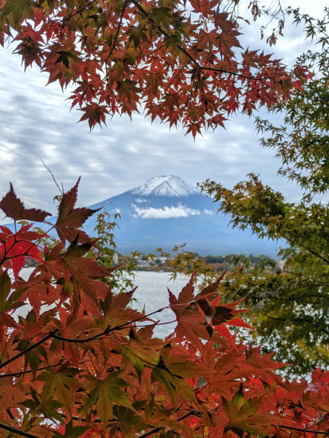 Snow-capped Mount Fuji seen through a frame of vibrant red and green autumn leaves, with a lake and small town visible at the mountain’s base under a cloudy sky.