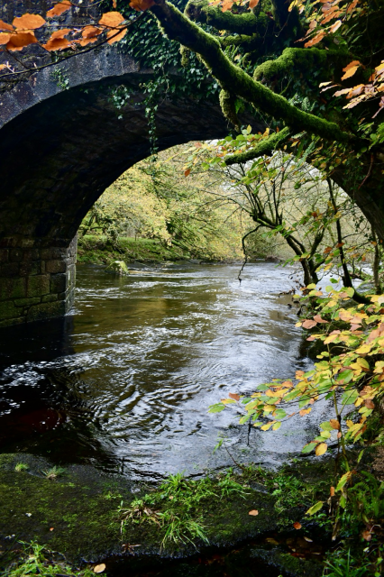A bridge with autumnal colours