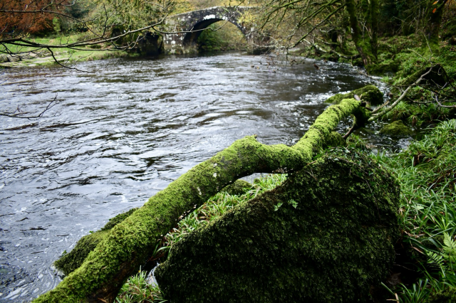 A bridge and river