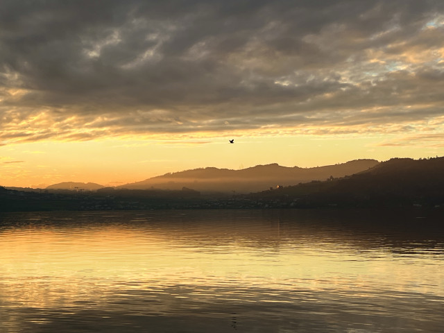 die goldene Stunde am Zugersee