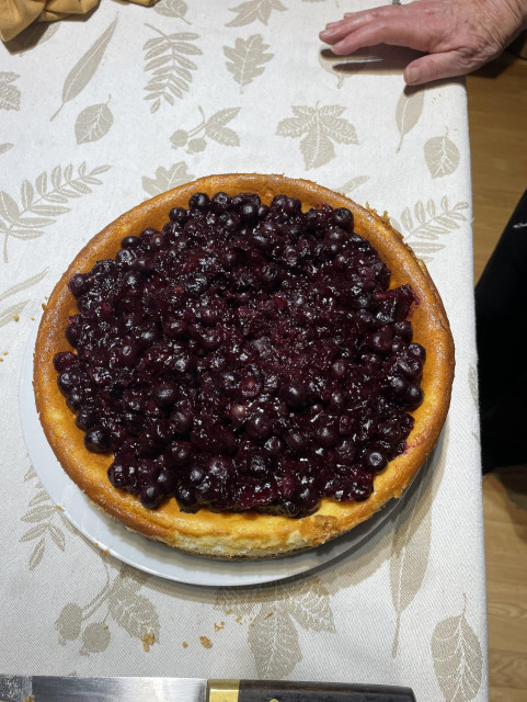 A blueberry covered cheesecake sits on a plate on a beige table cloth