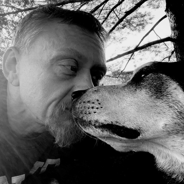 A man and a dog gently touch noses under a tree, creating a serene and intimate moment with branches extending overhead in the background.