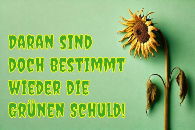 Das Bild zeigt eine verwelkte Sonnenblume vor einem grünen Hintergrund. Daneben steht in großen, gelb umrandeten Buchstaben der Satz: „DARAN SIND DOCH BESTIMMT WIEDER DIE GRÜNEN SCHULD!“. Die Gestaltung und Wortwahl deuten auf eine politische oder satirische Aussage hin.