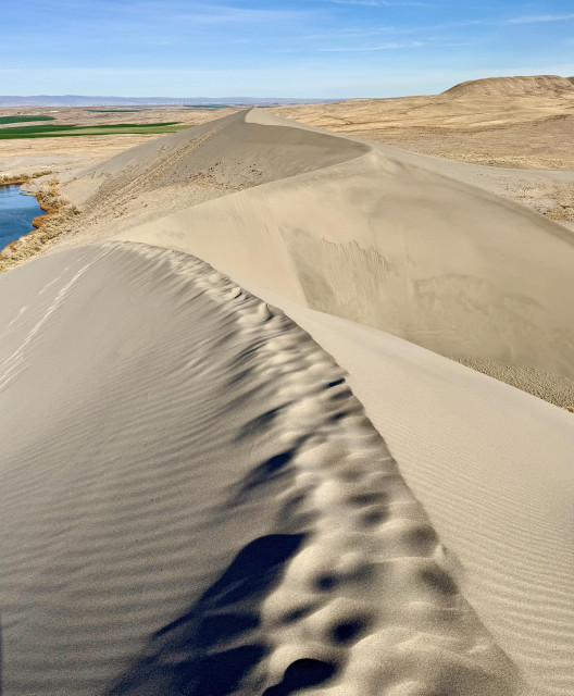 Photo of sand dunes as viewed from the ridge. Most of the sand dunes can be seen from this view which is taken from one end of the ridge. The ridge is seen curving left and right and up and down with the sand dropping steeply from each side of ridge. A small lake is seen at the base on the left. Blue sky overhead. I took this pic looking away from the sun.