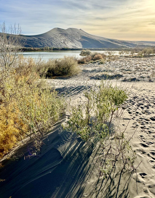Photo of section of sand dunes as viewed from the base from far side of lake. The lake is seen in foreground as well as some vegetation. Blue sky overhead with white clouds.