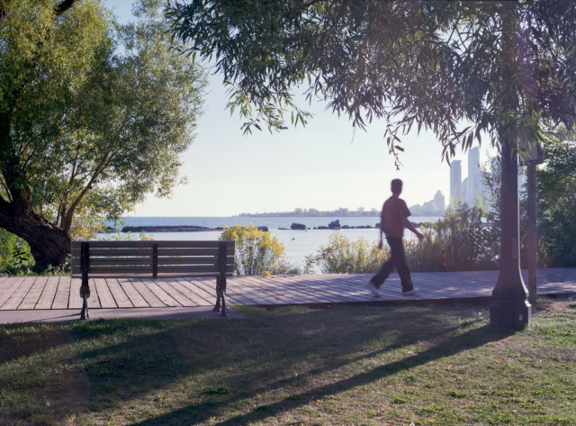 Goldenrod grows between the boardwalk and the lake as a young man strolls by gazing, perhaps, wistfully, at the far side of the bay. 