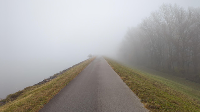 Eine Straße auf einem Damm führt von unten gerade in die Bildmitte und verschwindet dort im Nebel
