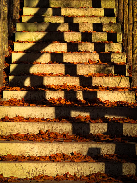 A concrete outdoor staircase partially covered in fallen autumn leaves. The stairs are dramatically lit by low, late-day sunlight.

Strong, repeating vertical shadows from the railings, fall across the steps, creating a striking pattern of alternating light and dark bands.