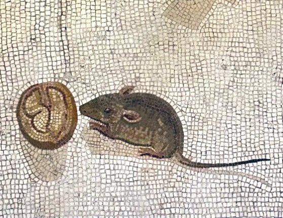 Delightful detail from the Roman “unswept floor” mosaic by Heraclitus, showing a mouse nibbling a walnut.