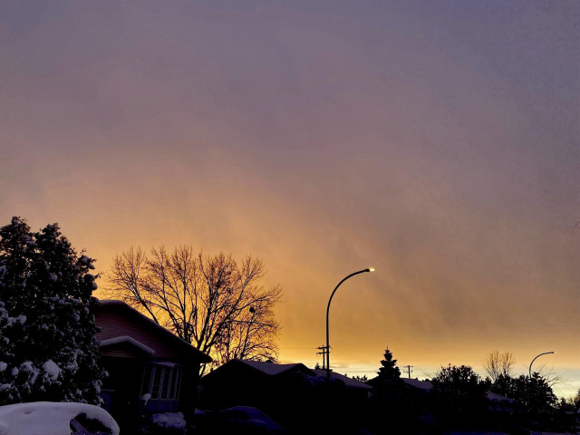 A striking golden sunset, clouds gold close to the horizon and turning to purple as they go up. 