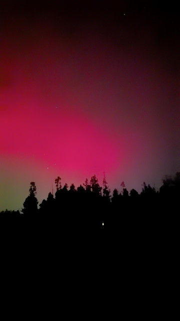 Red and green hues from the Aurora Borealis color the sky above West Yellowstone Montana.