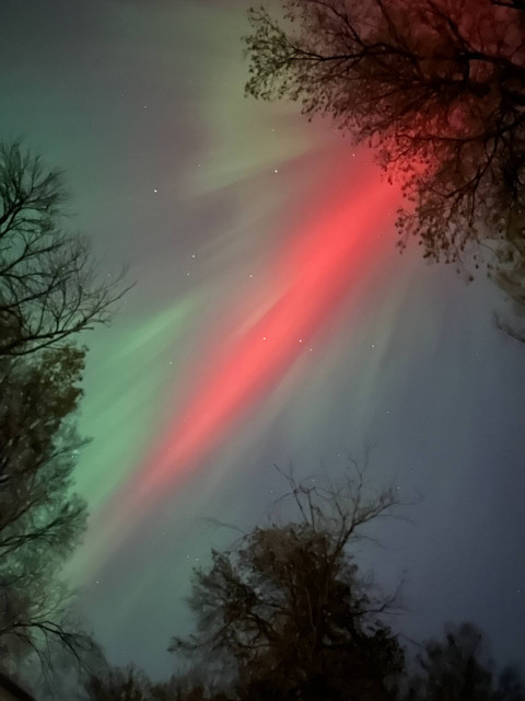 A picture of the northern lights. through the middle there is a brilliant red flanked by green on either sides. There are trees framing it.