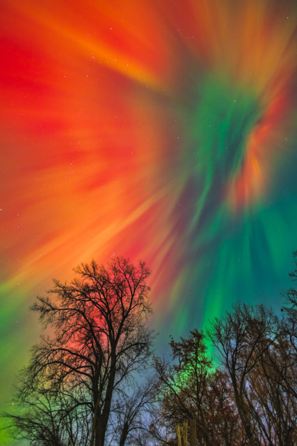 powerful burst of red, orange, and green aurora fans out across the entire sky above tall trees. The colors swirl together like a living nebula, filling the scene with energy and motion.