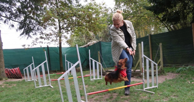 Auf die Pfoten, fertig, los: Dackel „Rakete“ testet einen Hundespielplatz
