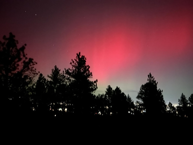 A vibrant sky at full of red aurora with trees silhouetted.