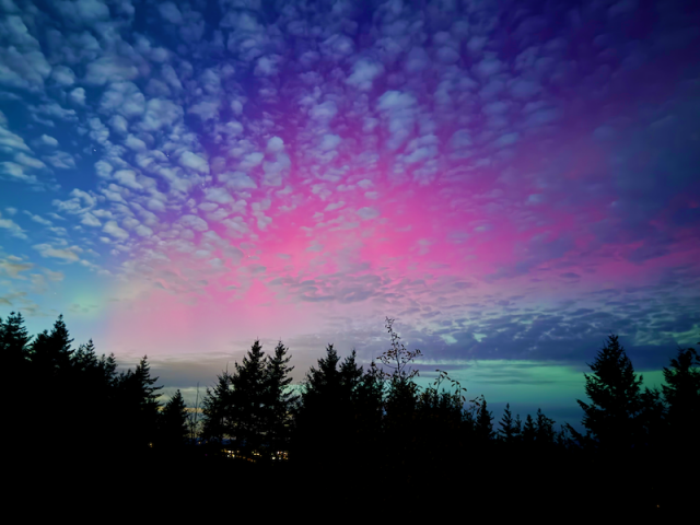 Pink aurora, bright in the center and fading as it gets farther out, merging into a dark sky above, and little fluffly clouds in front of it.  Below, green aurora, and trees.