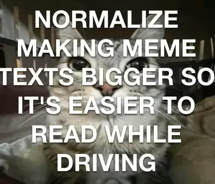 A picture of a cat, completely covered with large text that reads: normalize making meme texts bigger so it's easier to read while driving.