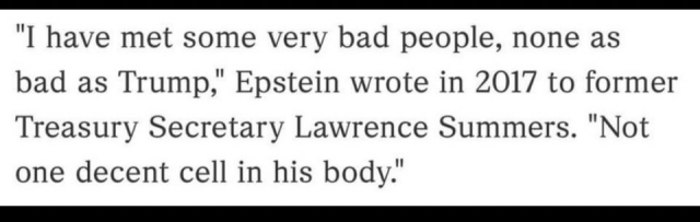 "I have met some very bad people, none as
bad as Trump," Epstein wrote in 2017 to former
Treasury Secretary Lawrence Summers. "Not
one decent cell in his body."

Email Quote of Epstein
