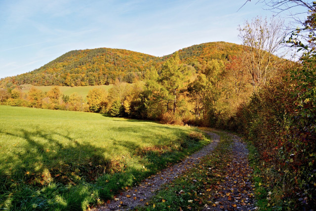 Autumnal landscape in the wienerwald, austria
