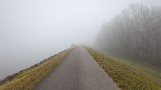 Ein asphaltierter Weg führt vom unteren Bildran in die Mitte des Bildes und verschwindet dort im Nebel der links den Fluß ebenfalls verdeckt, sodass man keine Grenze zwischen Wasser und Nebel erkennt. Das Ufer zeichnet sich aber eindeutig ab. Rechts im Bild verschwinden Bäume unterhalb eines grasbewachsenen Dammes ebenfalls im Nebel