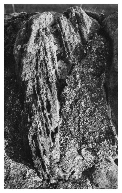 Black and white photograph in portrait orientation. A partially eroded stone in tangential light.
