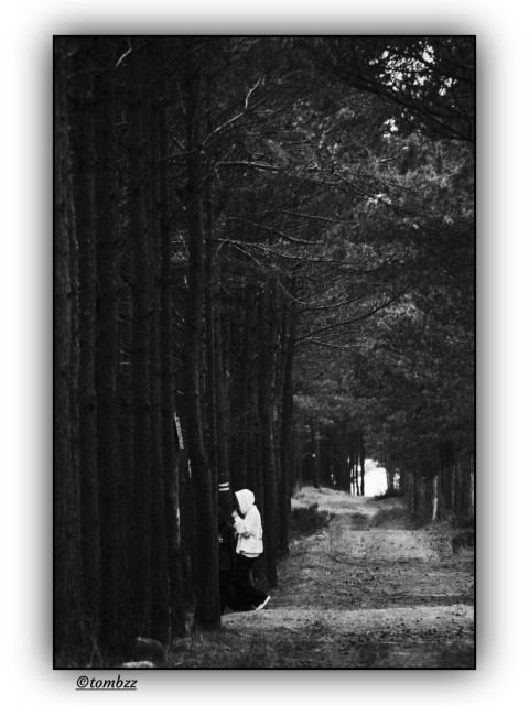 This black-and-white photo shows a simple dirt path winding through a dense forest. The framing pulls your gaze deep into the scene, where soft light filters through the trees. On the left, partly hidden in the shadows of the trunks, two people are standing. One wears a light hoodie, the other is dressed darker and less clearly defined. The trees are tall, their trunks straight and evenly spaced, forming a kind of natural corridor. Leaves and soil cover the path, giving it a raw, autumn feel. The mood is calm but a little uncertain, like something’s just about to happen or has only just ended.