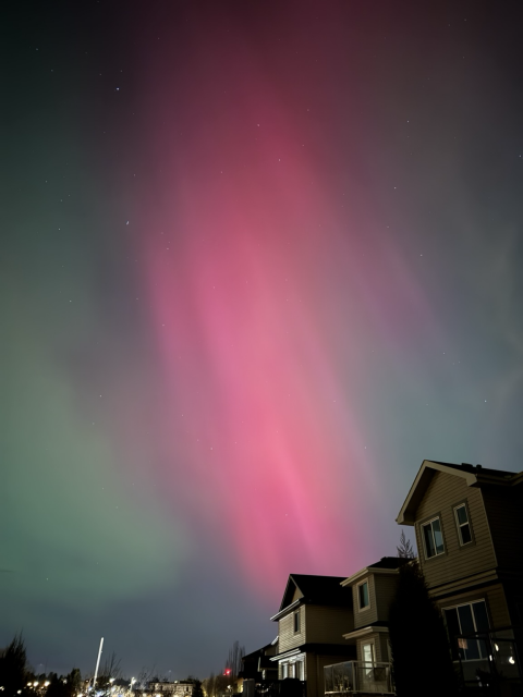 Streaks of pink aurora head downward to houses, framed by green aurora