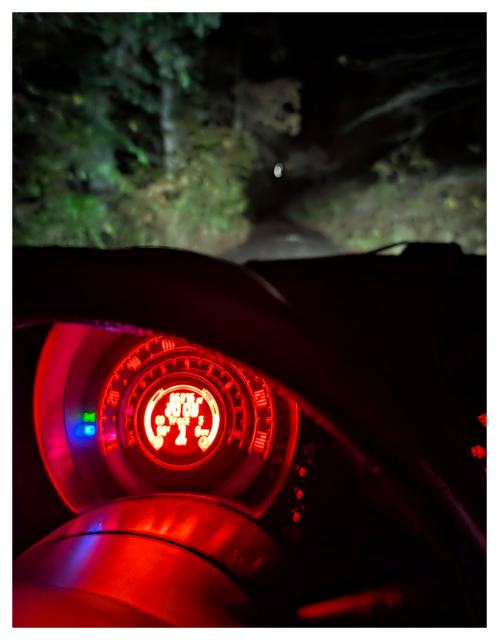 	
A cars illuminated dashboard glows red in the foreground at night, with the steering wheel partially visible. Through the windshield, headlights light up a narrow, dark forest road surrounded by dense trees and foliage.
