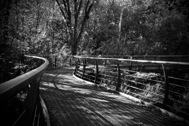 This photo has been edited into a black and white format. It was taken during the Fall in a lowland area of a hiking trail that passes through a forested area. A metal footbridge extends forward with sweeping and gradual curves along it's path. The walking surface is expanded metal with narrow gaps which allow rainwater to pass through. The tubular top railing on each side is silver grey in colour and quite shiny. The railing uprights are curved with holes which accommodate metal cables about 6" apart which run the full length of the bridge, five rows high. This provides an effective barrier below the top rail. The footbridge is an interesting architectural structure. Shadows from the trees can be seen on the bridge surface, as it was a sunny day.