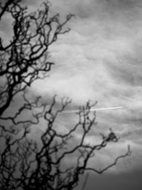 Black and white portrait format image showing a passenger jet in focus in the far distance with its vapour trail drawing a line through the clouds, while the left edge of the image features the blurry dark and leafless branches of a tree 