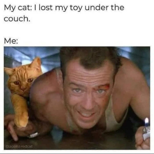 A humorous meme depicting a cat requesting help to find a lost toy under the couch, alongside an image of Bruce Willis from Die Hard crawling through tight air ducts.