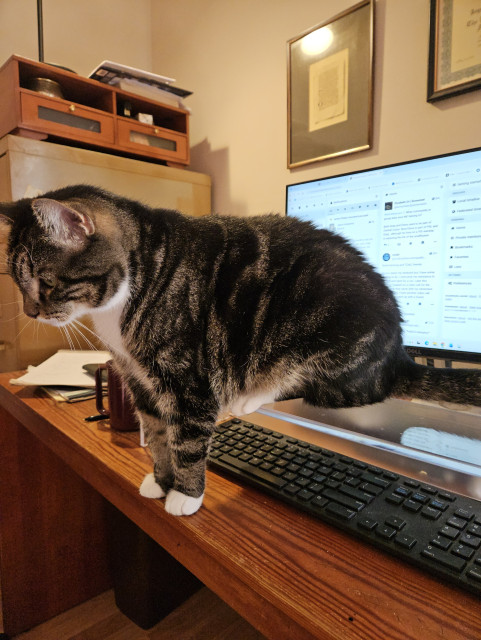 The keyboard in front of the computer monitor has a clear acrylic shelf over it to keep the cat off the keys. A tabby cat is sitting with his back feet and butt on the shelf, his front feet on the desk in front of it. There are two framed items on the wall and a small cabinet atop a metal filing cabinet in the background.