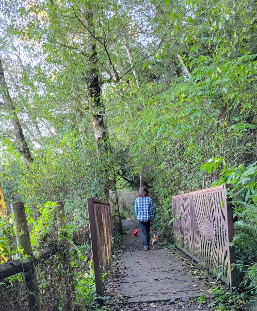 Boy and his dog crossing the Fish Bridge over the creek.