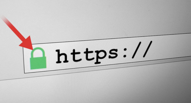 A green ‘handbag silhouette’ next to a https:// in an address bar