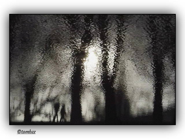 Reflection in the gently rippled lake shows a stretch of park with tall trees, their trunks and crowns rising like blurred ink lines. In the center, caught between light and shadow, a couple walks side by side along the shore. Light filtering through the branches creates a bright patch, like a glowing eye in the dark. The whole scene feels suspended between waking and dreaming, with uncertain outlines and a human presence as fleeting as the reflection itself.