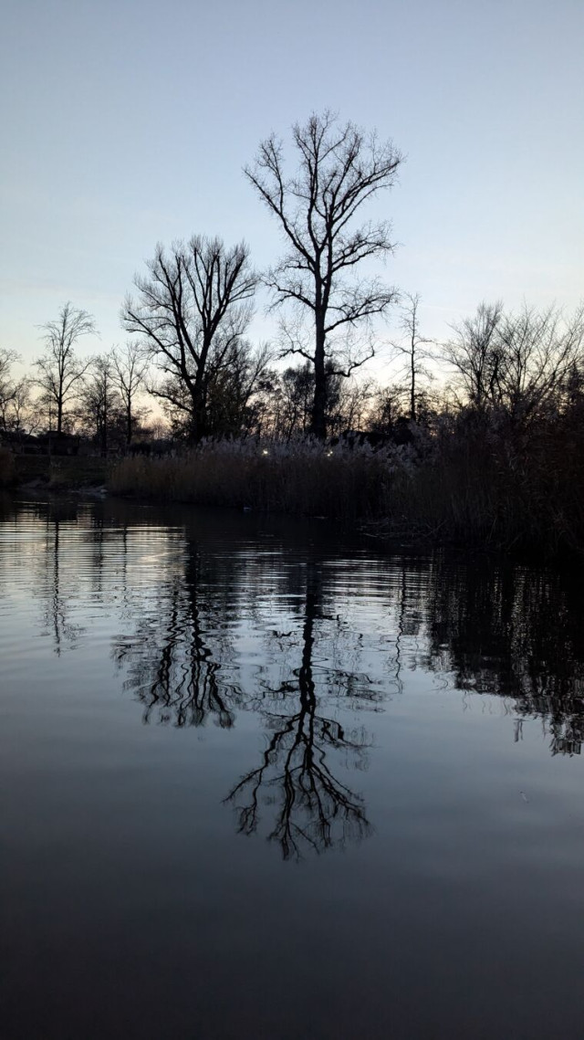 Schwarze Sihlouette von zwei großen Bäumen vor blauem Abendhimmel.
Sie Dzene spiegelt sich auch im Wasser wieder