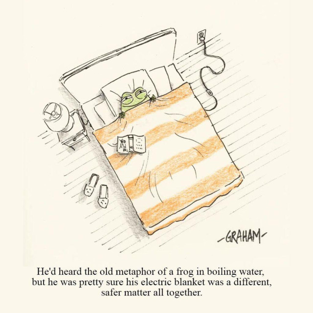 A cartoon illustration of a happy frog snuggled under in bed under an electric blanket. Caption reads "He'd heard the old metaphor of a frog in boiling water, but he was pretty sure his electric blanket was a different, safer matter all together."