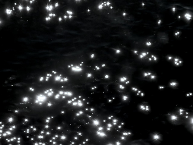 Starlike sunlight sparkles in various sizes across a surface of water. 
The water is very dark, appearing blue-black. 

The sparkles are distributed across the image, except for a curving section that has very few, where we see the faint shapes of wavelets on the water.