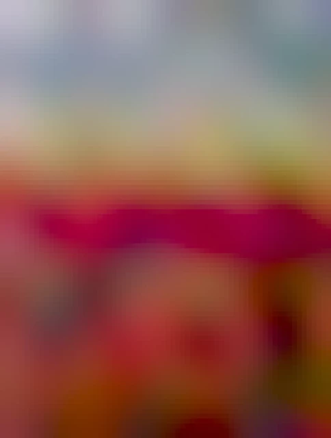 Alt text by Gemini, which describes the photo better than I could.

This photo is a vibrant, sunlit image of a commercial greenhouse filled with hundreds of potted poinsettia plants. The foreground is dominated by rows of classic red poinsettias with deep green leaves. Behind them are extensive rows of cream-colored and variegated pink and white varieties, all neatly arranged on tiered shelving or tables. The greenhouse structure, with its metal beams and glass or plastic roof panels, is visible in the background, allowing bright light to illuminate the colorful display.