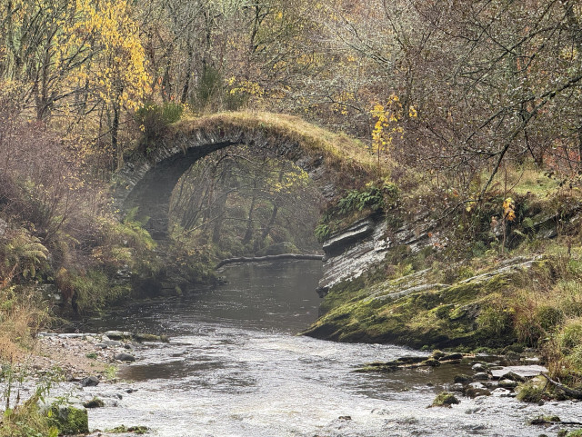 A stone arch bridge covered in grass spans a calm river, surrounded by trees displaying autumn foliage. The scene is tranquil, with mist adding a soft atmosphere to the landscape.