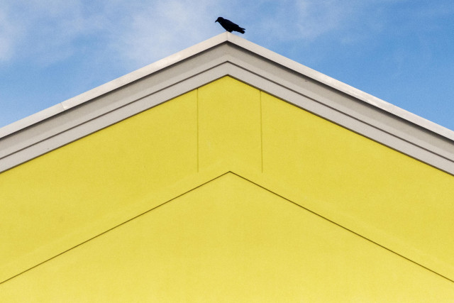 A crow stands on the top of a Rona hardware store, directly in the middle where the roof joins together.  The wall is yellow and the crow is juxtaposed with a blue sky containing wisps of clouds.