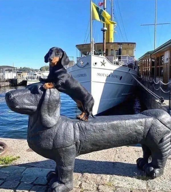 Dog on top of statue of dog