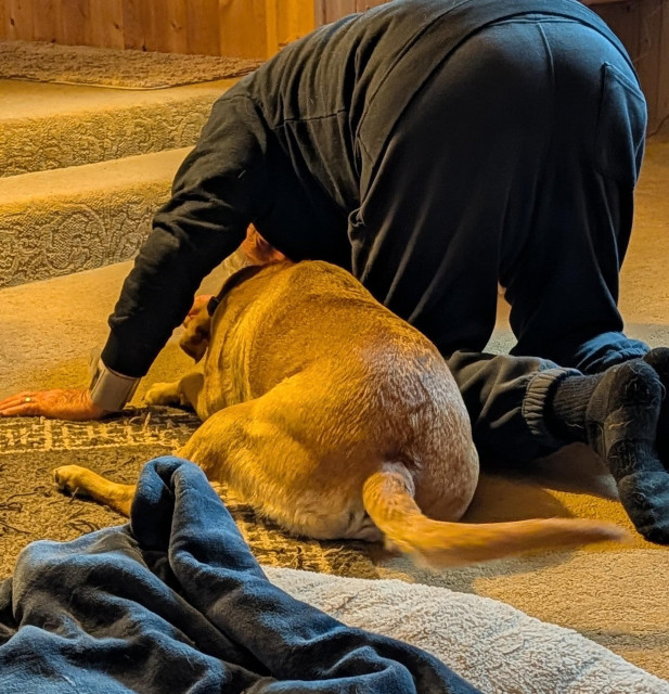 The backsides of Summer and her pal while they are on the floor. Summer's pal is on his knees. 