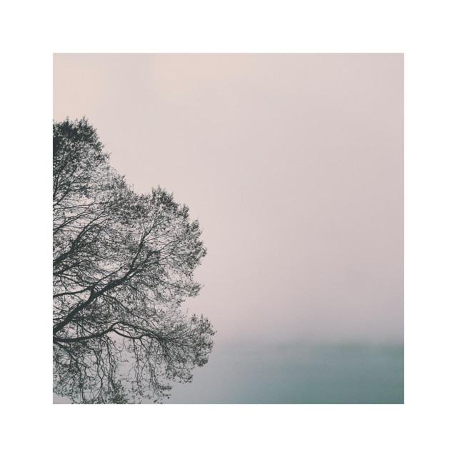 a square image showing a detail of the silhouette of a dark autumn tree against a bright cloudy background. the tree is already without any leaves, just the dark branches leave their marks like black ink on a white page