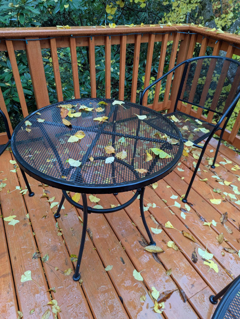 Wet leaves are scattered across a small black metal mesh table and chair on a wet wooden deck.