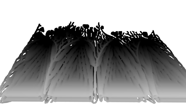 2D Reaction diffusion visualized as smoothed 3D voxel mesh, rendered as depth image (2008). Each depth slice of this structure is a single generation of the 2D simulation/animation. The front is the start of the simulation, branches forming recursively over time...